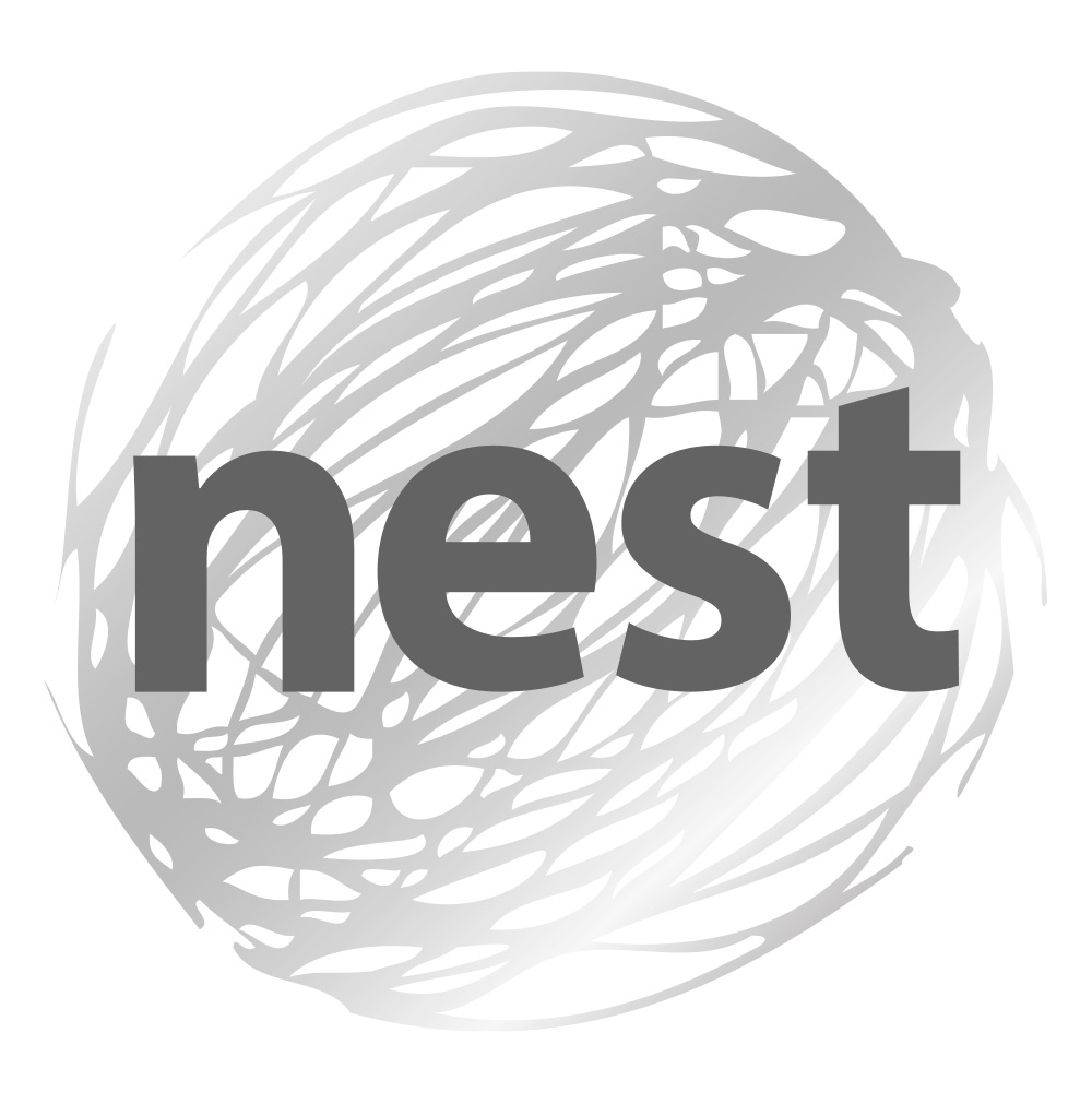 Restyling marchio Nest, versione attuale