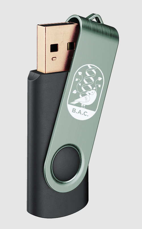 pittogramma-bac-memory-pen-01-unifi_FDSdesign