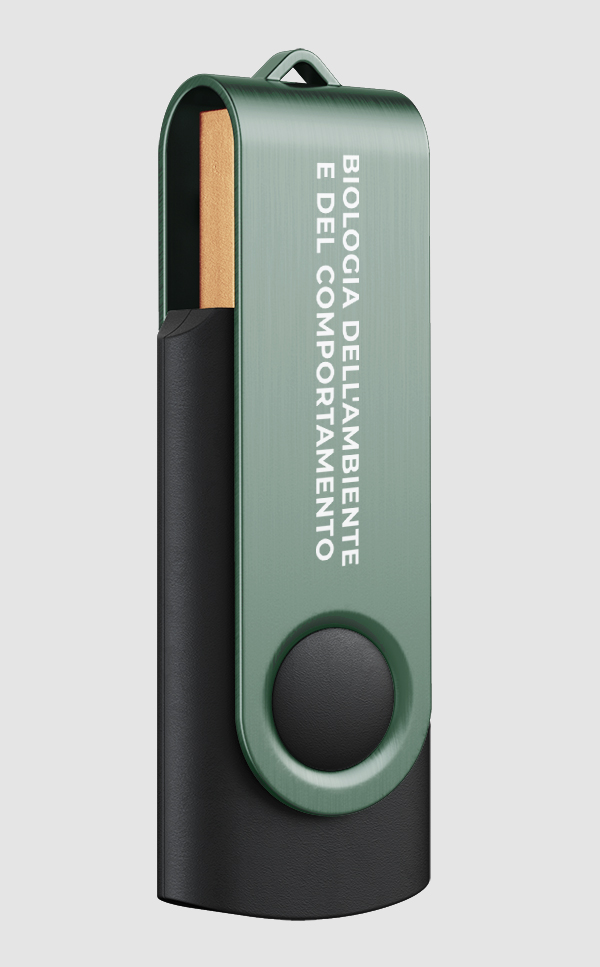 pittogramma-bac-memory-pen-02-unifi_FDSdesign