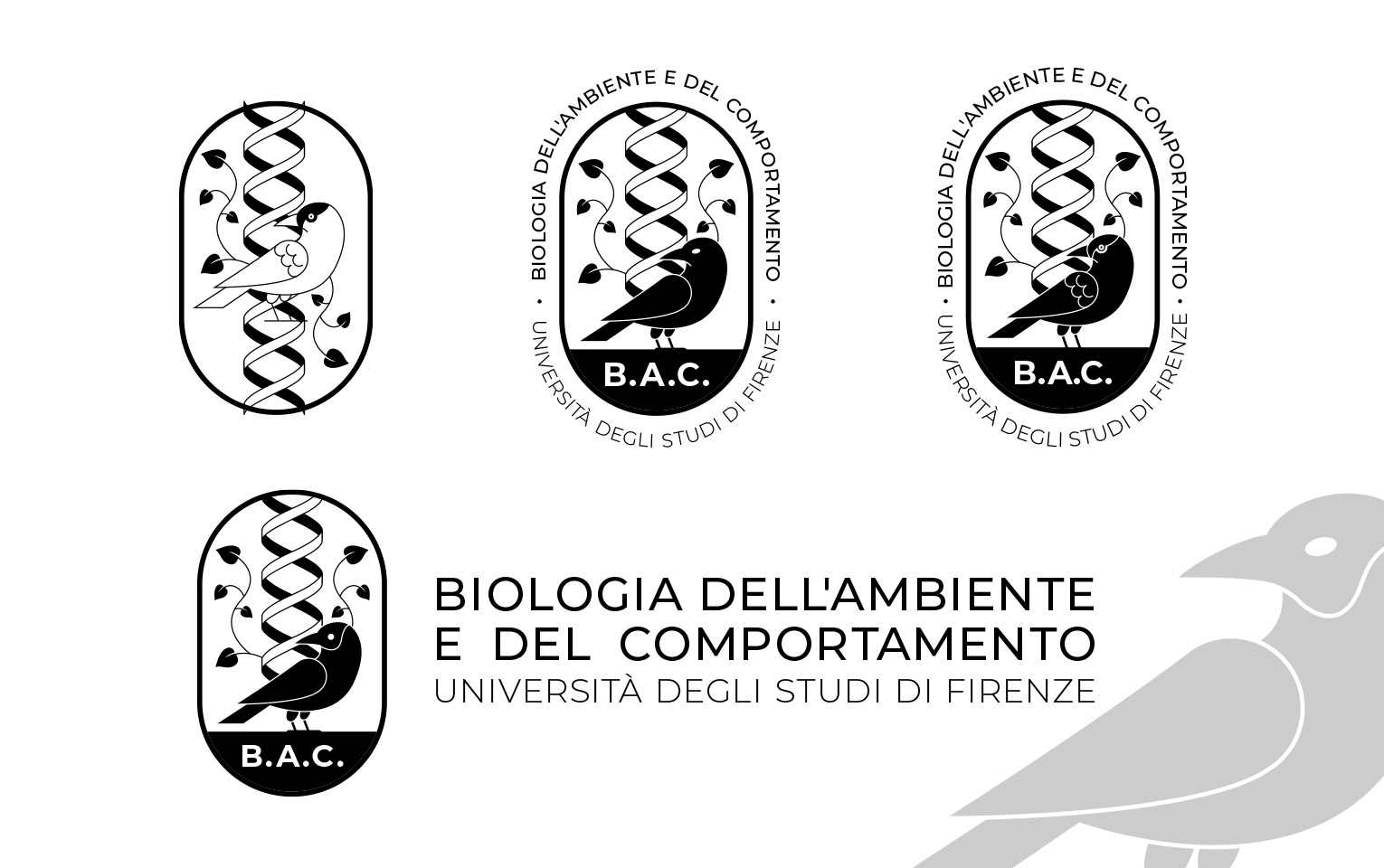 pittogramma-bac-unifi-tavola-2_FDSdesign pittogramma-bac-unifi-tavola-2_FDSdesign