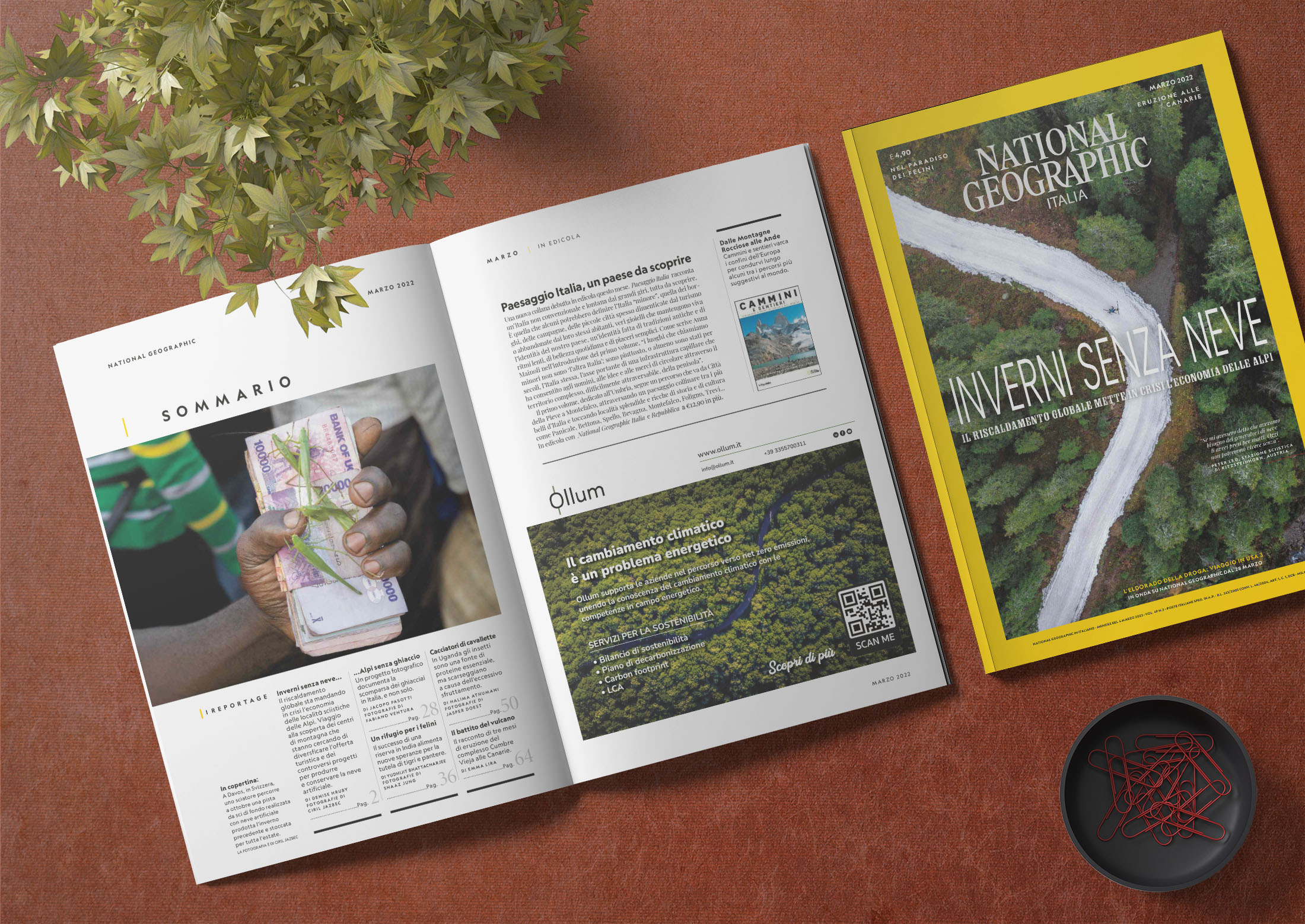 pubblicita-riviste-National Geographic-OLLUM-impaginazione-grafica_FDSdesign