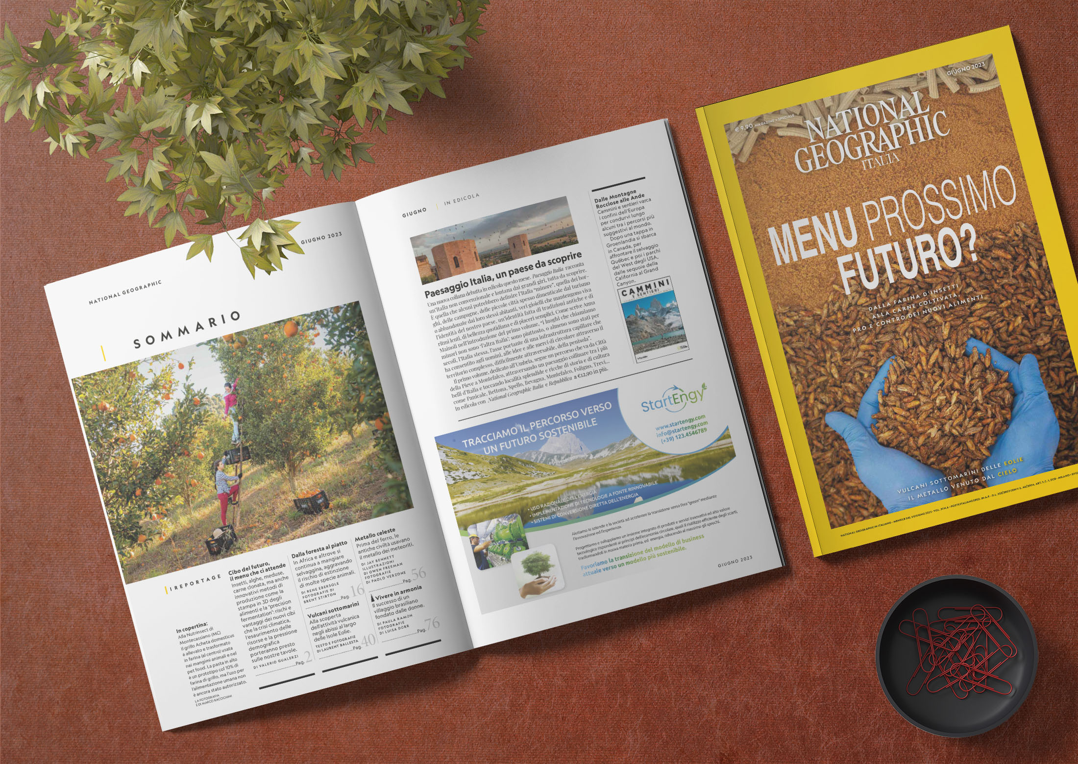 pubblicita-riviste-National Geographic-STARTENGY-impaginazione-grafica_FDSdesign