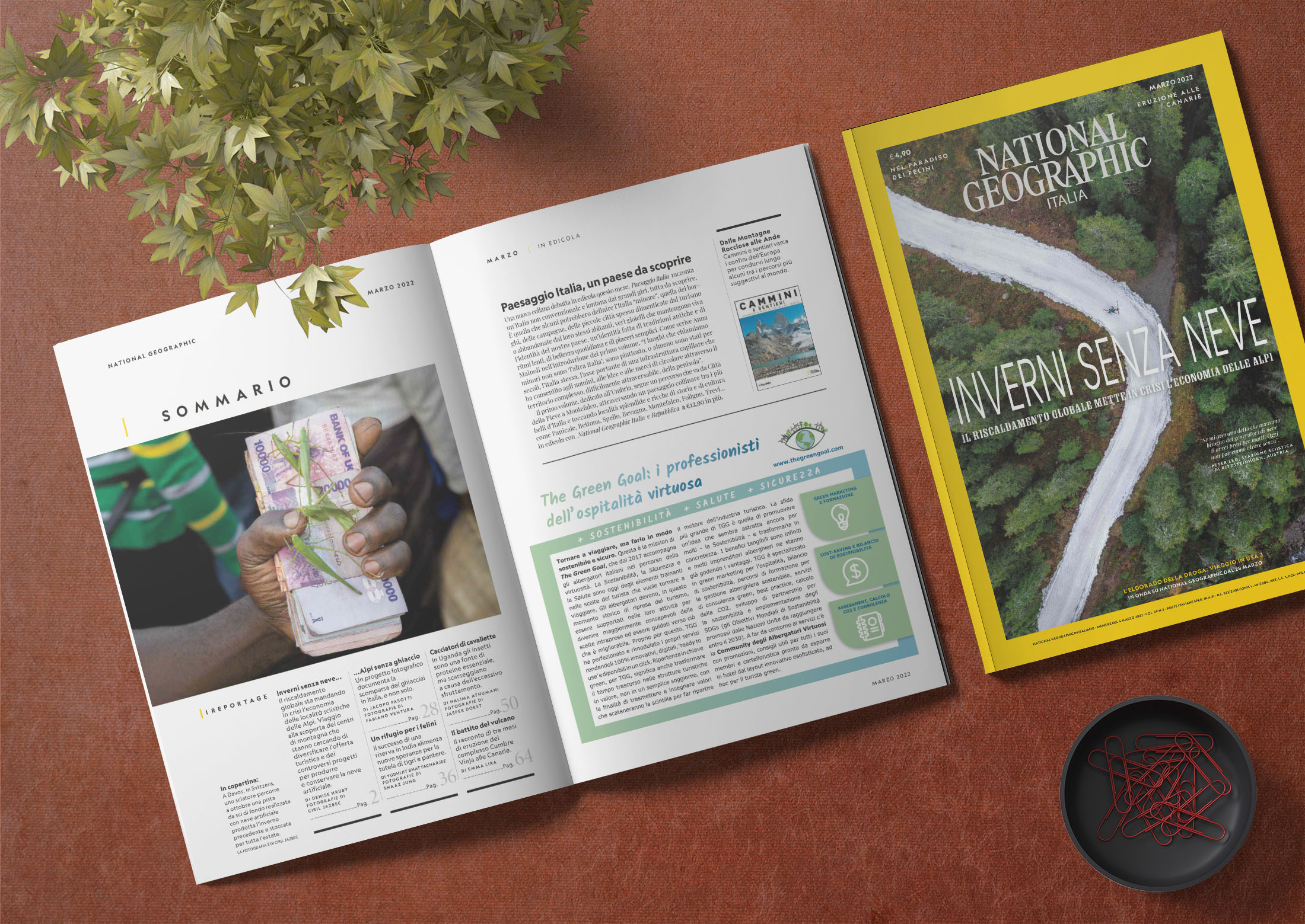pubblicita-riviste-National Geographic-THE GREEN GOAL-impaginazione-grafica_FDSdesign